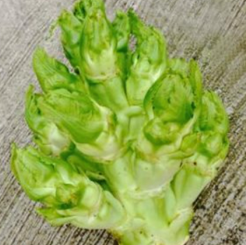 抱子芥菜/人参菜/娃娃菜  500G